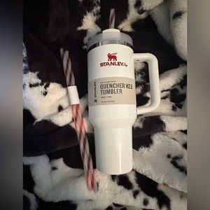 LIMITED EDITION CHRISTMAS STANLEY